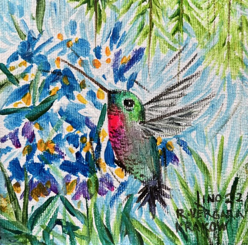 Humming-bird - a painting by Roberto Vergara Lino