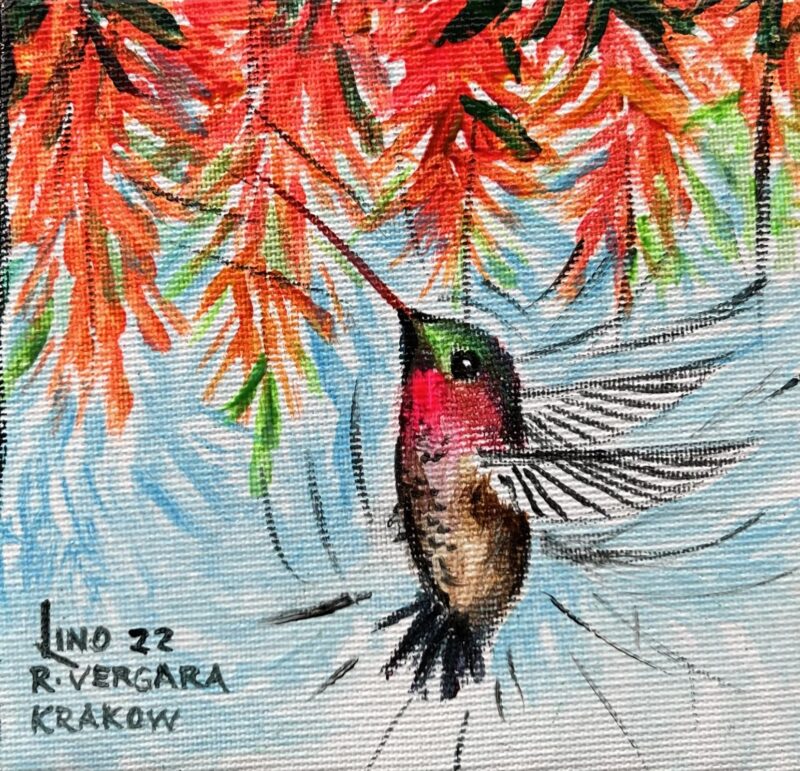 Humming-bird - a painting by Roberto Vergara Lino