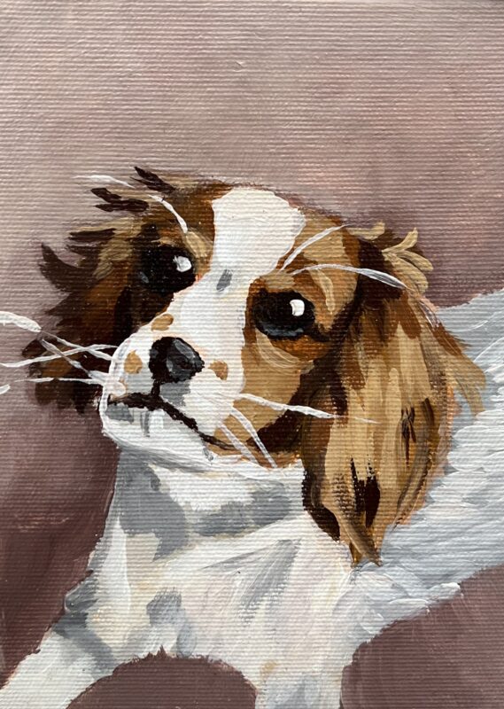 Dog - a painting by Julita Duda