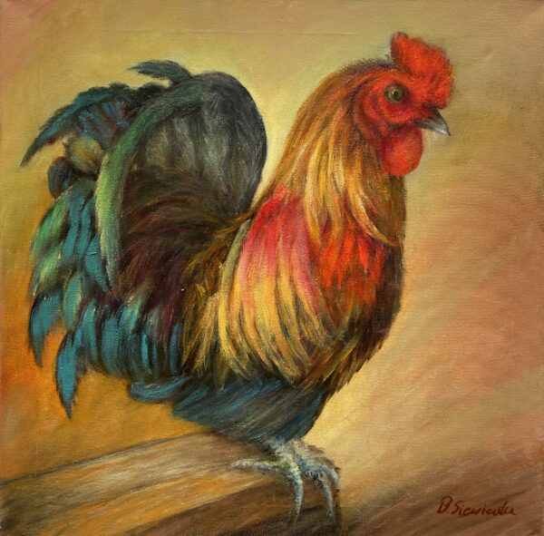 Rooster - a painting by Barbara Siewierska