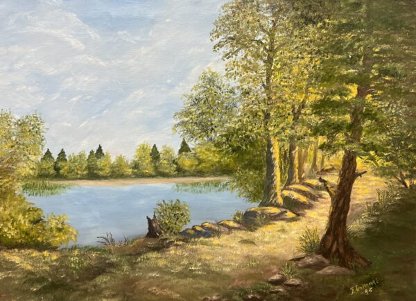 Afternoon by the Lake - a painting by European school (XX)